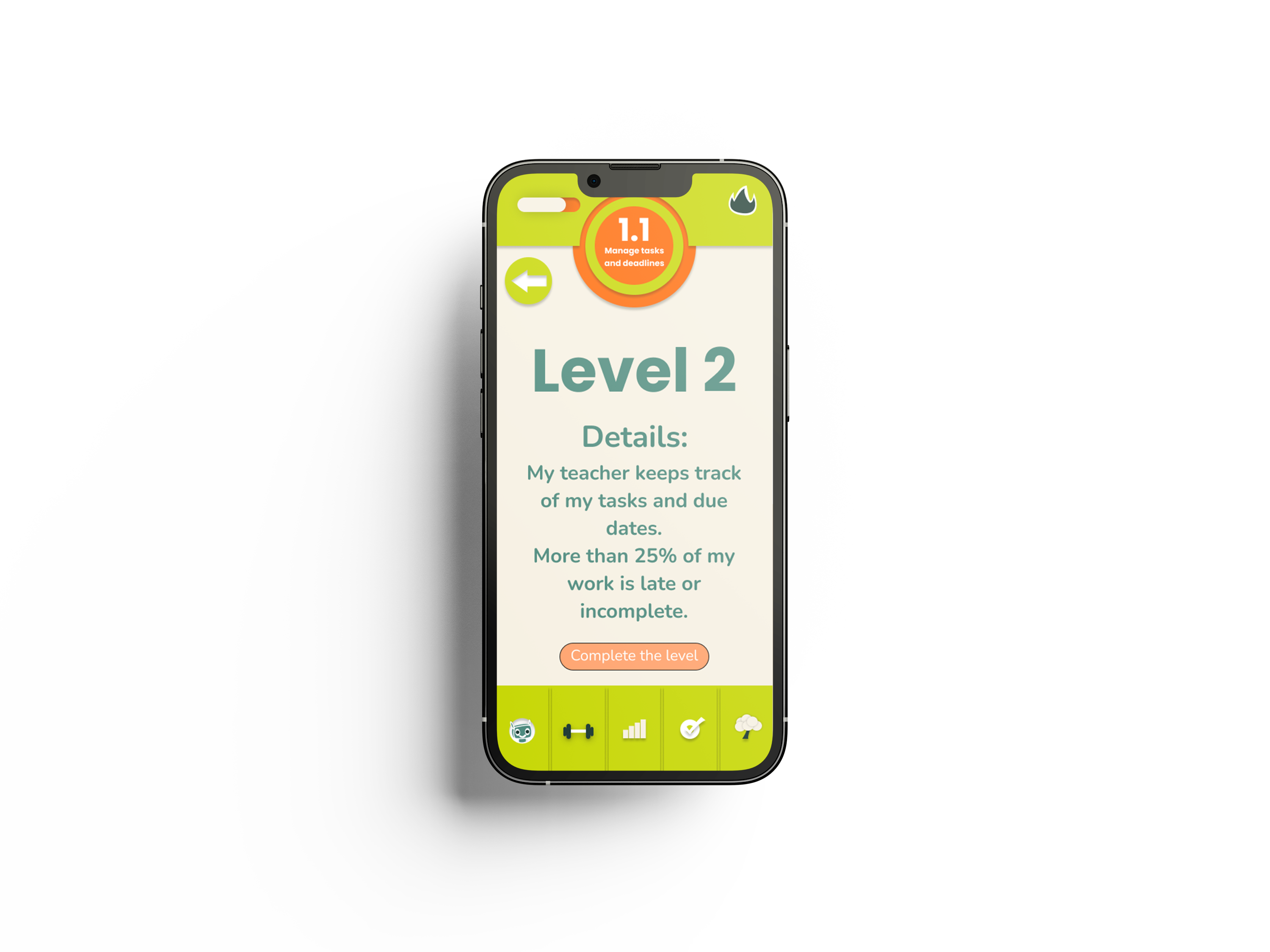 Final Website and Branding Mockup